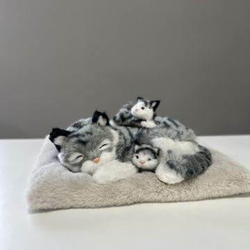 Дышащая кошка