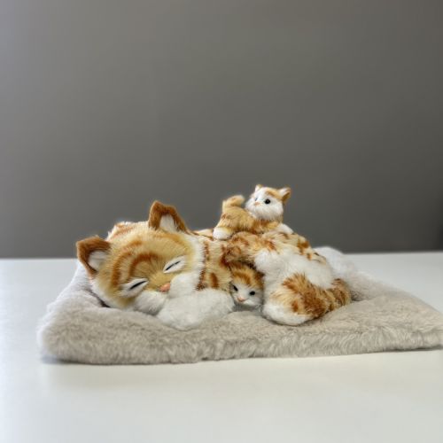 Дышащая кошка